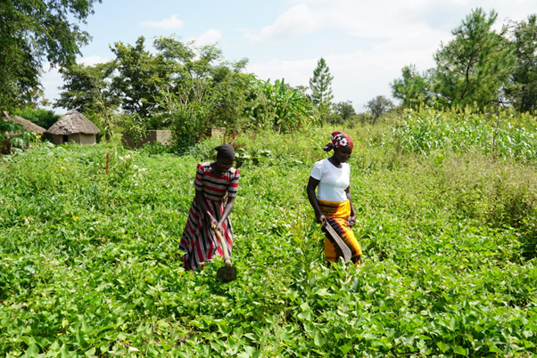 Women farmers